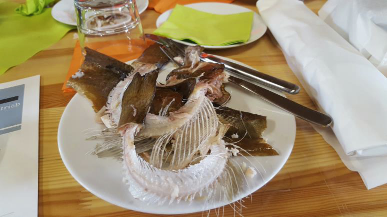 Fisch aufgegessen Fisch aufgegessen