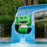 Fiete, das Frosch-Maskottechen der Stadtwerke Celle, rutscht eine Rutsche im Freibad runter
