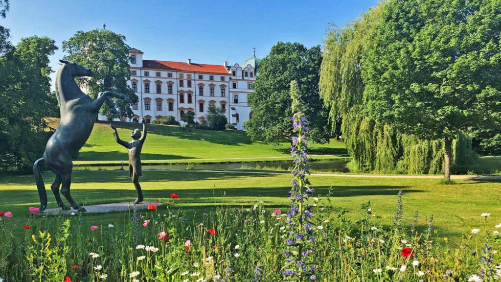 Die Bronzeplastik „Hengst Wohlklang in der Freiheitsdressur“ vor dem Celler Schloss zeigt den berühmten Celler Hengst mit seinem Trainer Günter Nagel. Das Werk von Ulrich Conrad wurde 1985 im Schlosspark aufgestellt und erinnert an die lange Tradition des Niedersächsischen Landgestüts